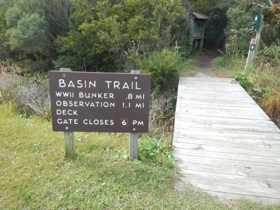 Basin Trail