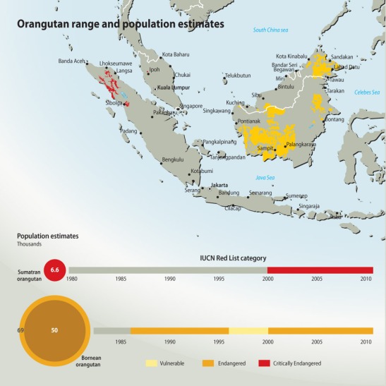 Orangutan range map courtesy of the International Union for Conservation of Nature and Natural Resources